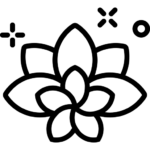 Odświeżanie